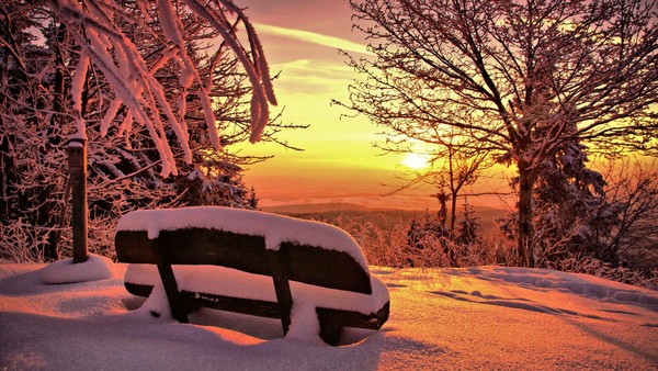 Winterlaub: Diese Stadt im Harz gehört zur Top 10 der Reiseziele der Deutschen