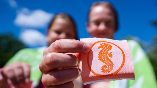 Immer mehr Hamburger Grundschulkinder erwerben Seepferdchen