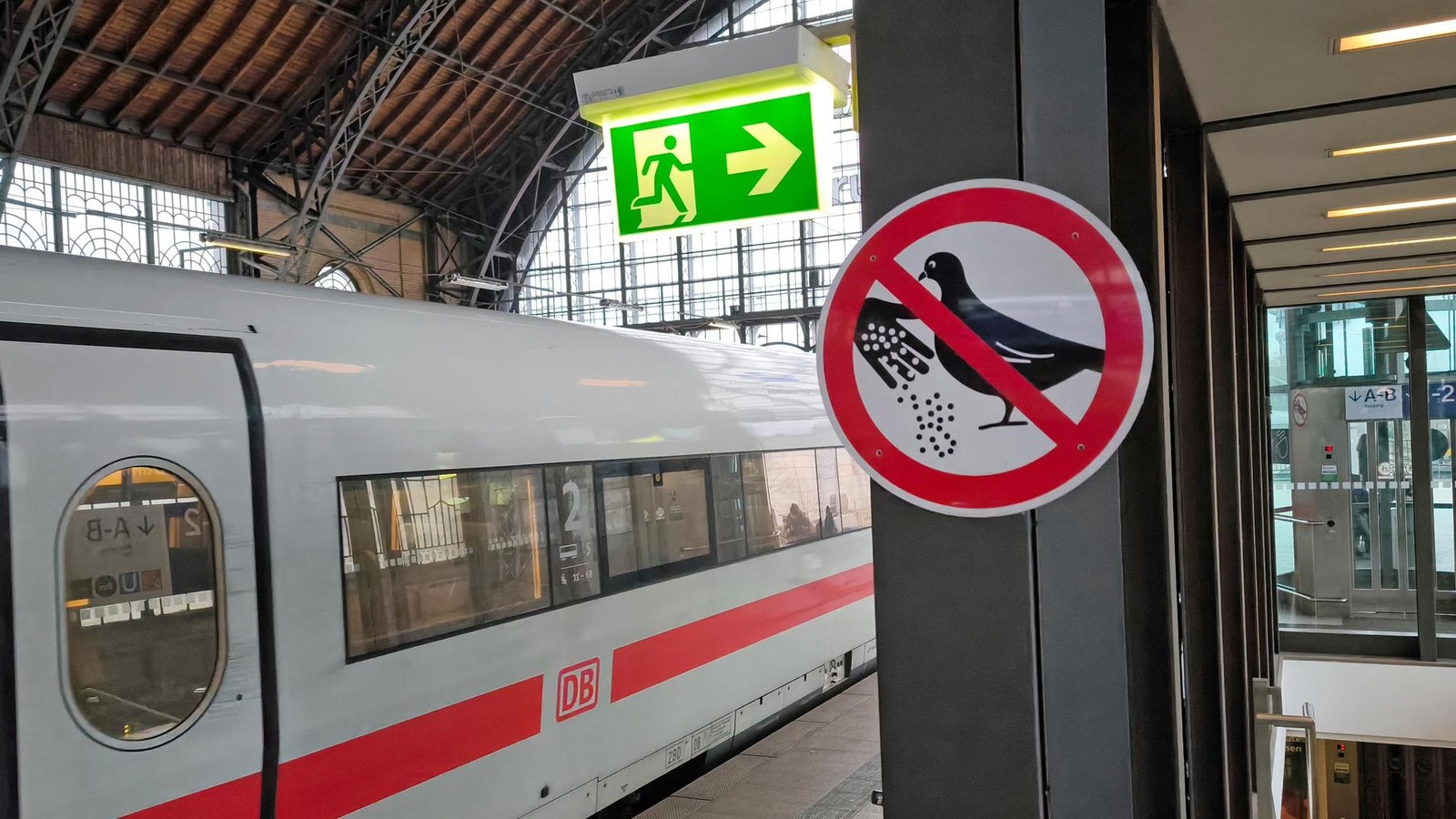 Bahnhof-Dammtor-Tauben-f-ttern-verboten-das-kostet-der-Versto-