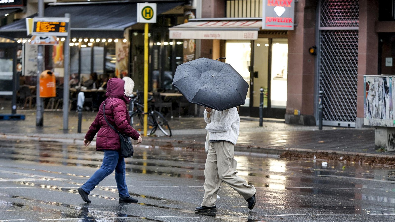 Fr-hlingshafte-Temperaturen-im-Dezember-aber-auch-viel-Regen