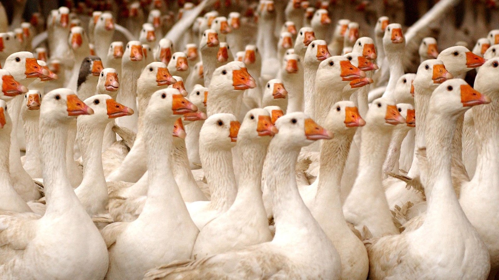 Meldungen-aus-dem-Kreis-Saalfeld-Rudolstadt-zum-Wochenstart