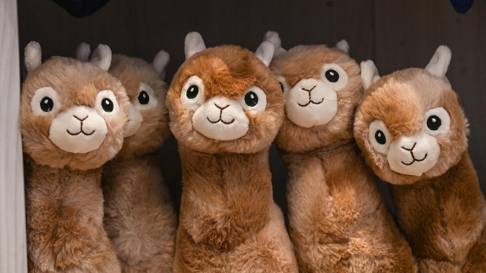 Inspiration-vom-Niederrhein-Tipps-f-r-Weihnachtsgeschenke-aus-Wesel-und-Umgebung