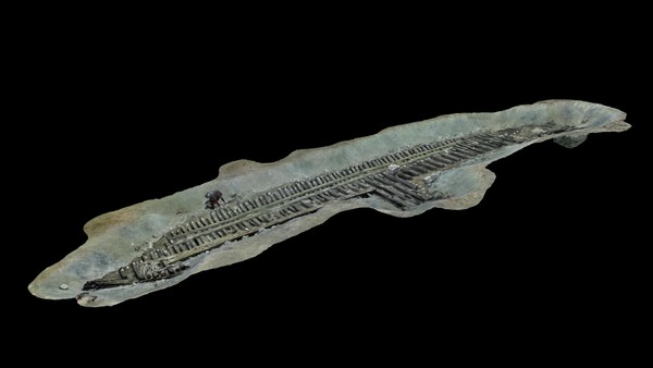 Forscher stoßen unter Wasser auf 2000 Jahre altes Luxuswrack