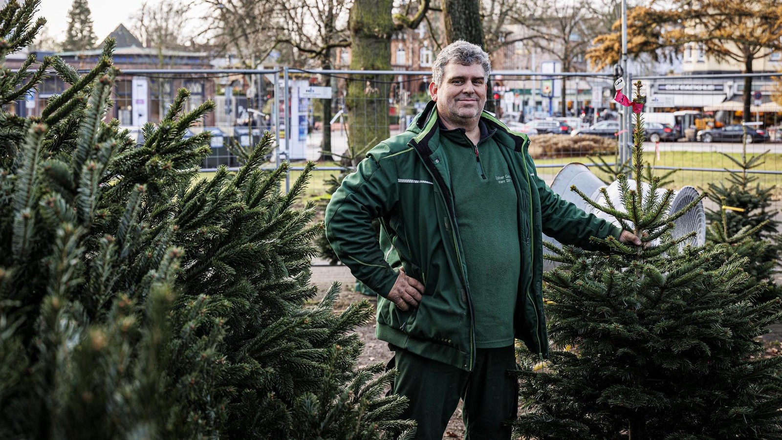 Weihnachtsbaum-Verk-ufer-berichtet-Man-erlebt-Familiendramen-