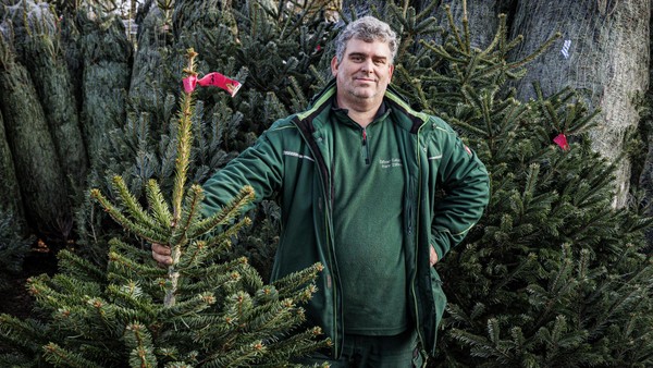 Weihnachtsbaum gesucht? Sven Zöllner erlebt Dramen am Verkaufsstand