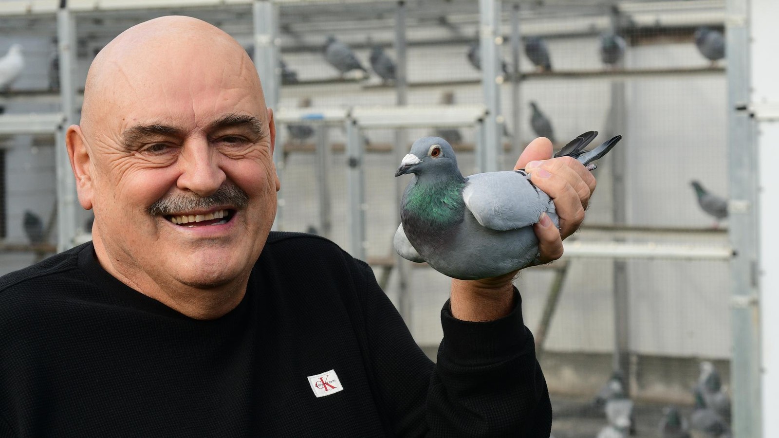 Desir-e-aus-Th-ringen-startet-bei-Olympiade-in-Dortmund