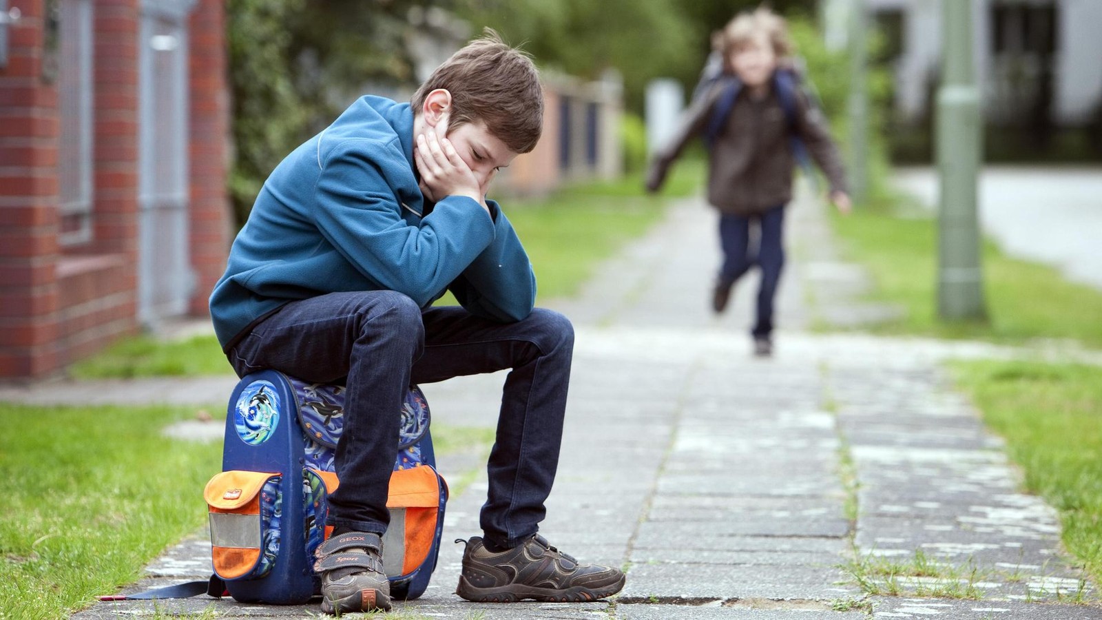 Diese-Bildungspolitik-ist-eine-Bankrotterkl-rung