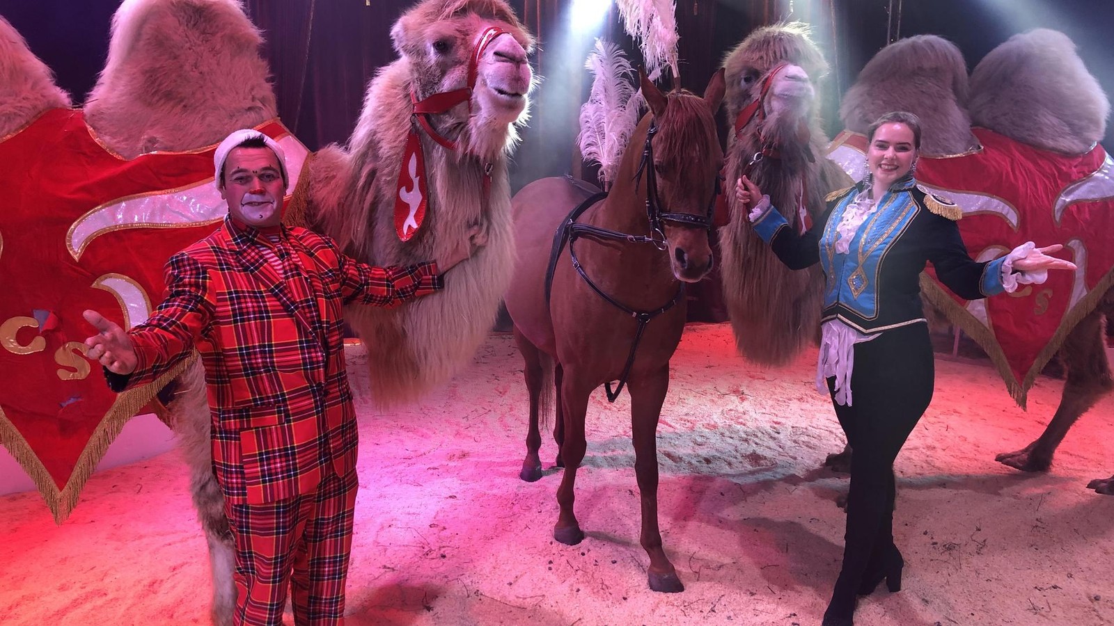Magische-Einh-rner-und-Weihnachtsmann-Circus-Salino-gastiert-in-Gifhorn