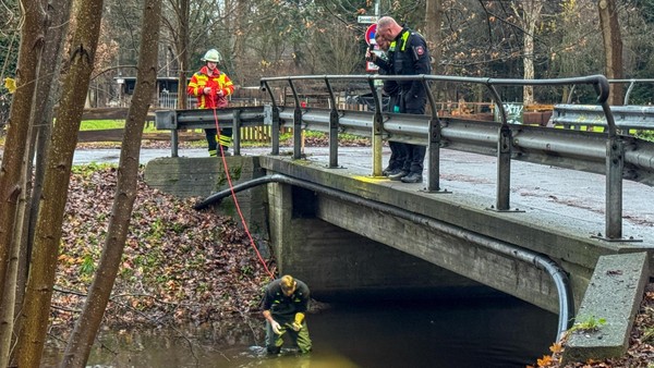 Merkwürdiger Fund: Polizei fischt händeweise Goldschmuck aus Kanal