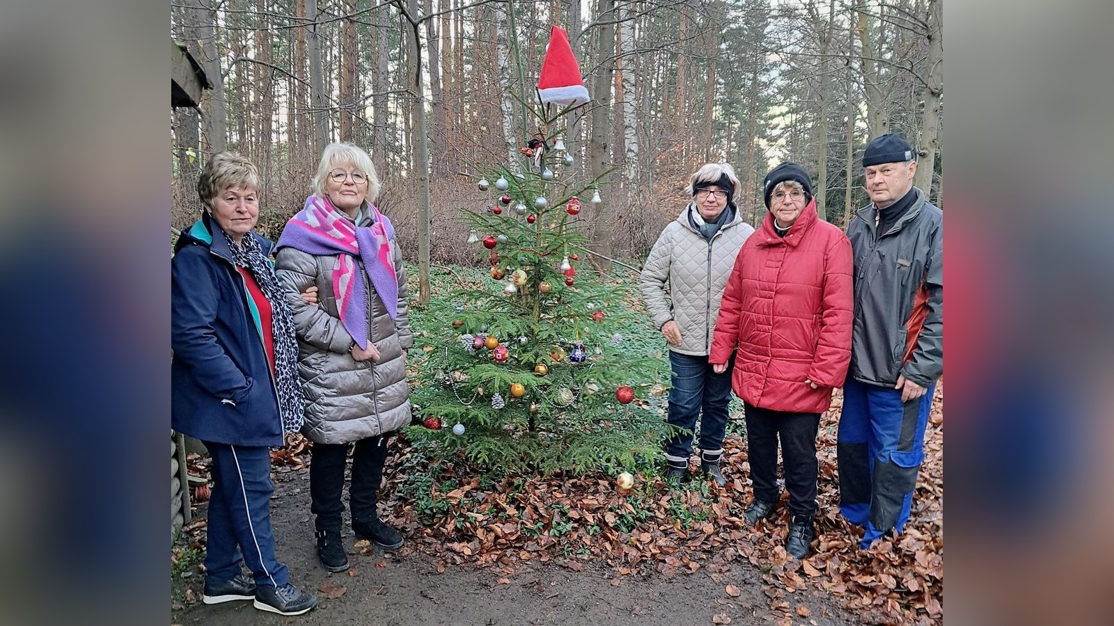 Was-der-Christbaumschmuck-an-einem-B-umchen-im-Stadtwald-zu-bedeuten-hat