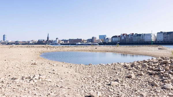 EU setzt sich neues Klimaschutz-Ziel – doch eine Maßnahme sorgt für Streit