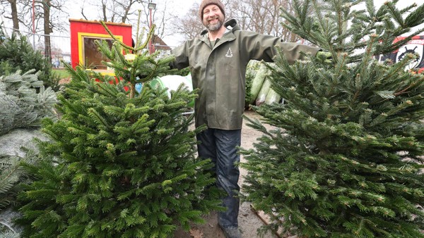 Hier finden Wolfsburger zu Weihnachten die schönsten Tannenbäume