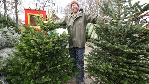 Jetzt noch Weihnachtsbäume kaufen in Wolfsburg: Ein Überblick zu Verkaufsstellen