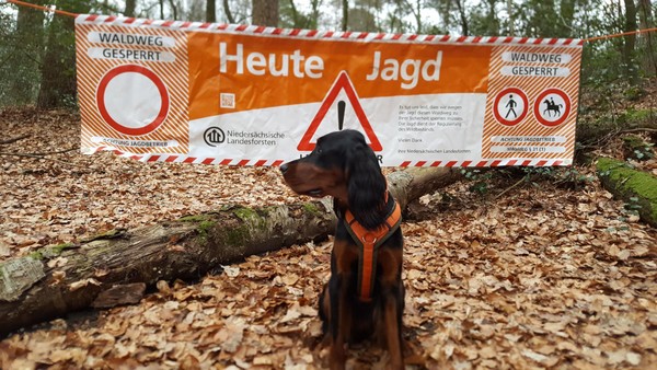 Jagd im Kreis Helmstedt: Diese Straße wird am Donnerstag gesperrt