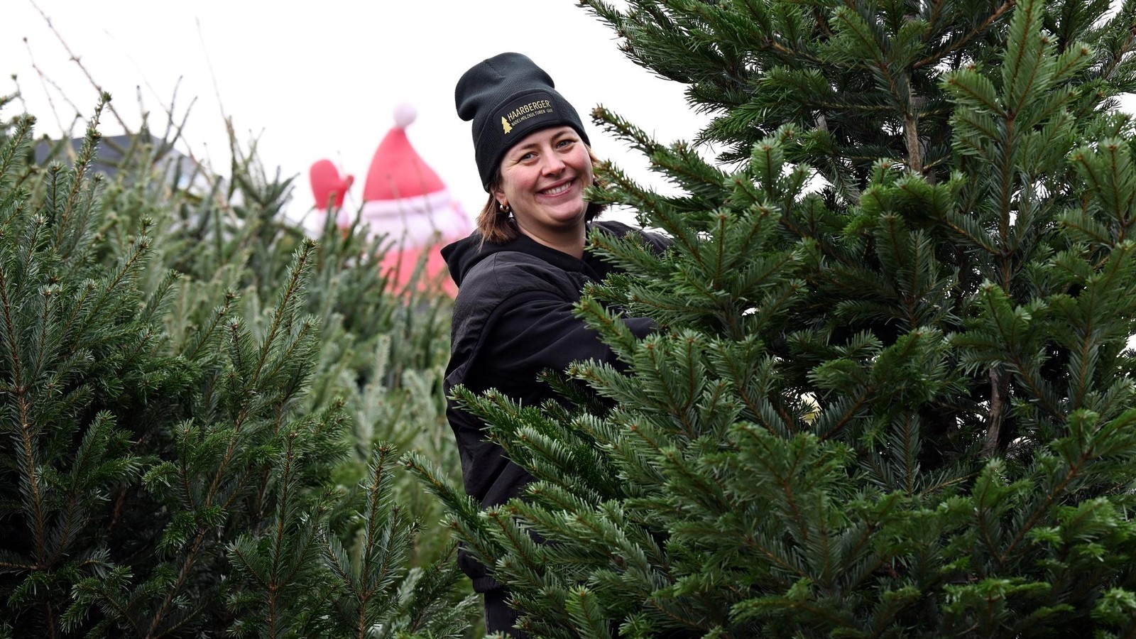 S-gen-schwitzen-Spa-haben-Weihnachtsbaum-Erlebnis-in-Erfurt