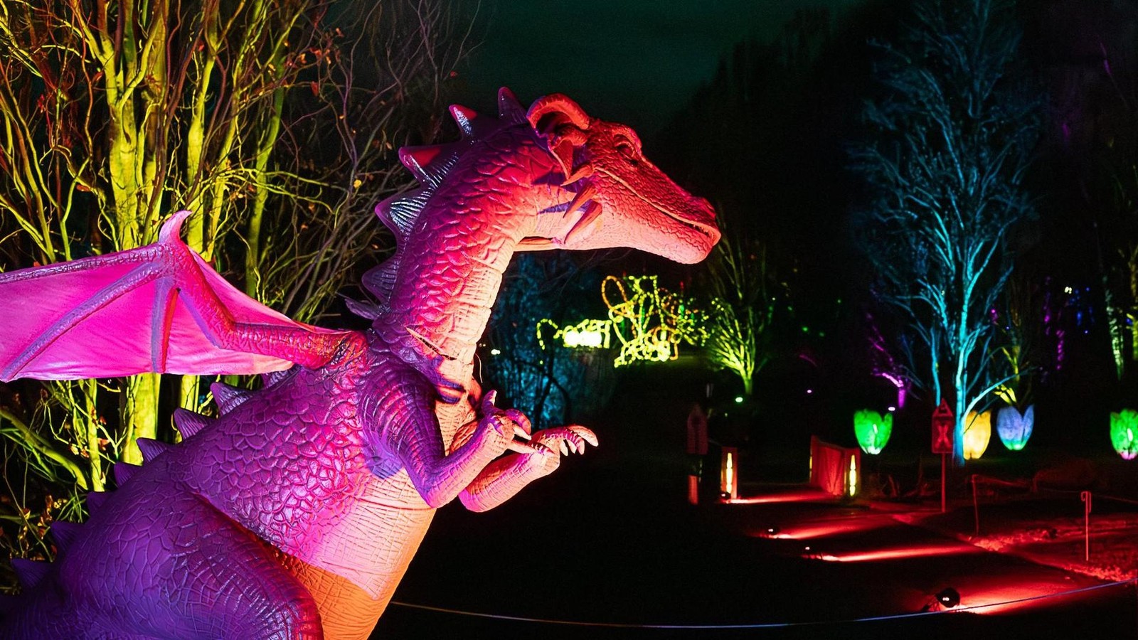 Leuchtende-Drachen-und-Wunderlights-Die-sch-nsten-Lichterfeste-in-NRW-2025