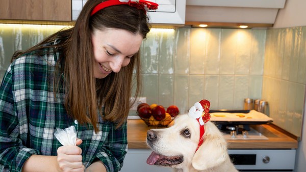 Rosinen, Tanne, Nüsse - wann Weihnachten für Haustiere zur Bedrohung wird