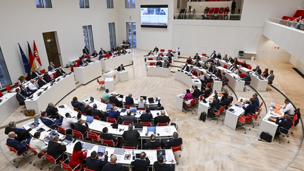 AfD-Brandenburg mit Rekord – Ähnlicher Trend in anderen Bundesländern