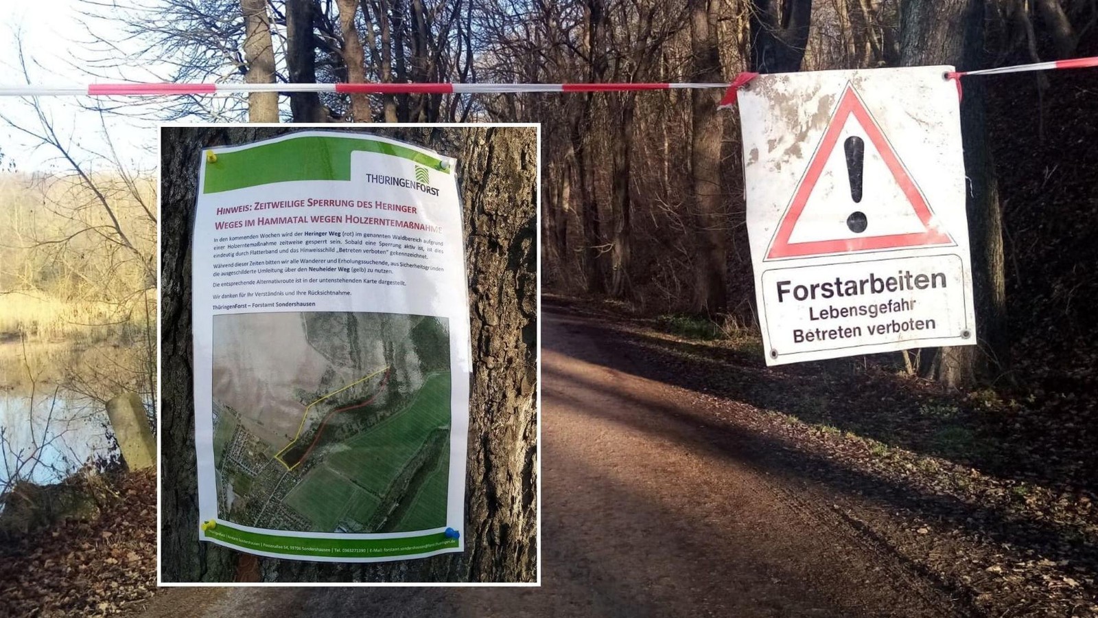 Achtung-Lebensgefahr-Waldweg-in-Sondershausen-zeitweise-gesperrt