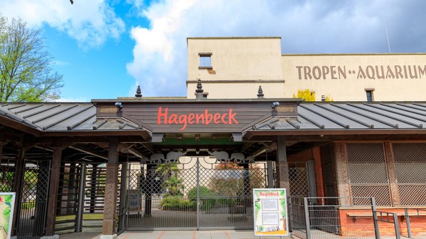 Neuzugang bei Hagenbeck: Diese bedrohte Tierart zieht jetzt ein