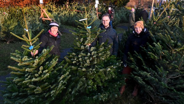 Das ist „1a-Ware“: Wolfsburgs Pfadfinder verkaufen Weihnachtsbäume
