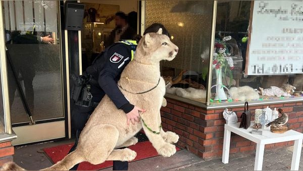 Toten Puma und Hundepelz illegal zum Kauf angeboten? Polizei schreitet ein