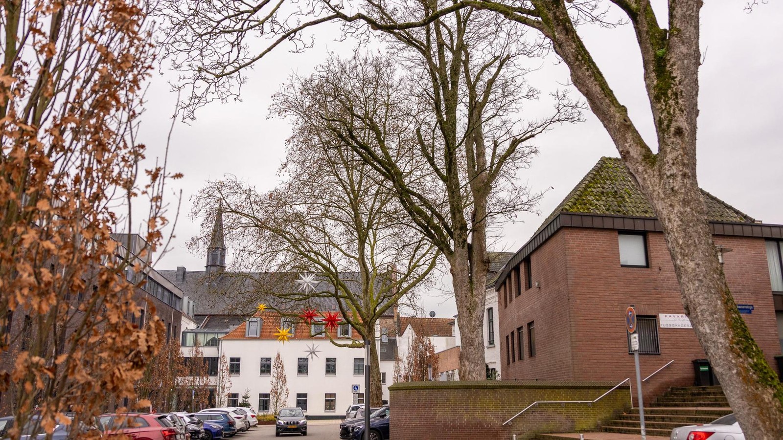 Gro-er-Ahorn-vor-dem-Klever-Rathaus-muss-Montag-gef-llt-werden