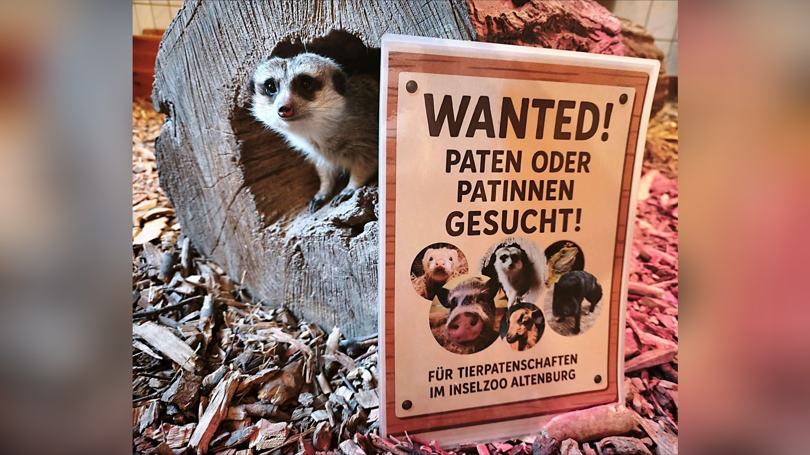 Bald-ist-Weihnachten-die-Nachrichten-aus-dem-Altenburger-Land-zum-Wochenstart