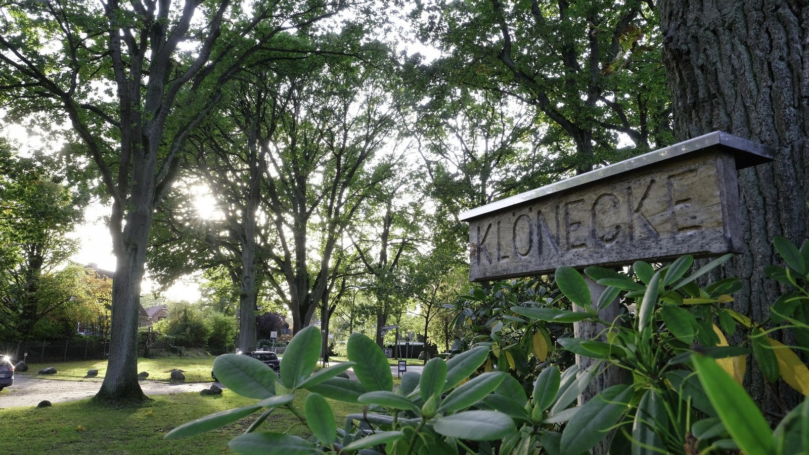 Wohnen-im-Gr-nen-am-Alsterlauf-Das-kosten-Immobilien-im-Hamburger-Norden