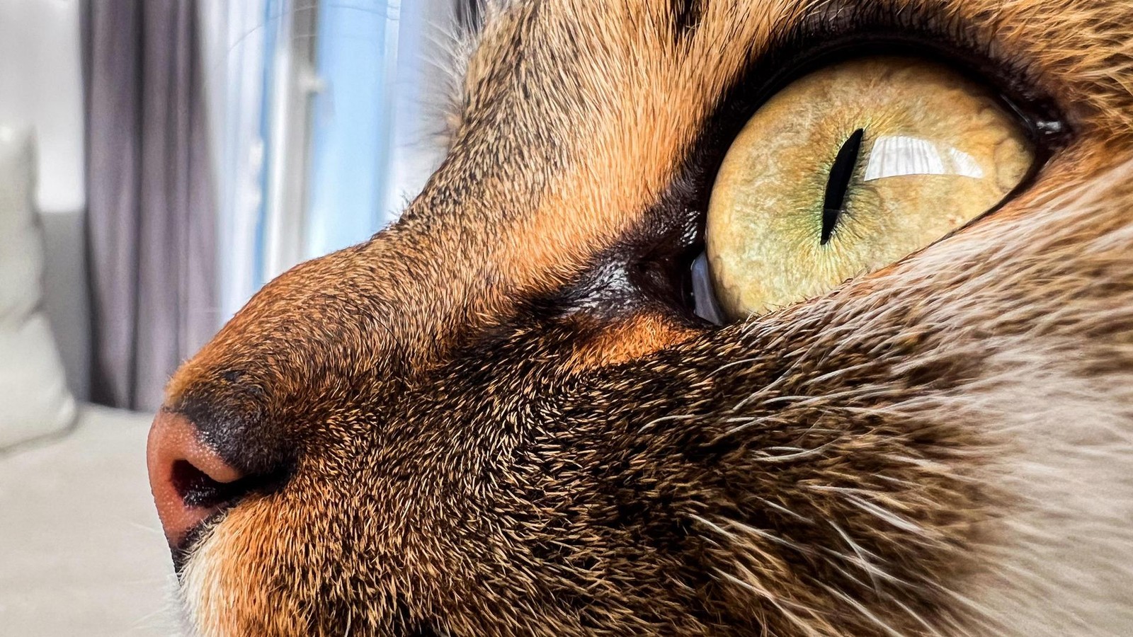 Kehrtwende-im-Weimarer-Land-Landratsamt-revidiert-Entscheidung-zu-Frankendorf