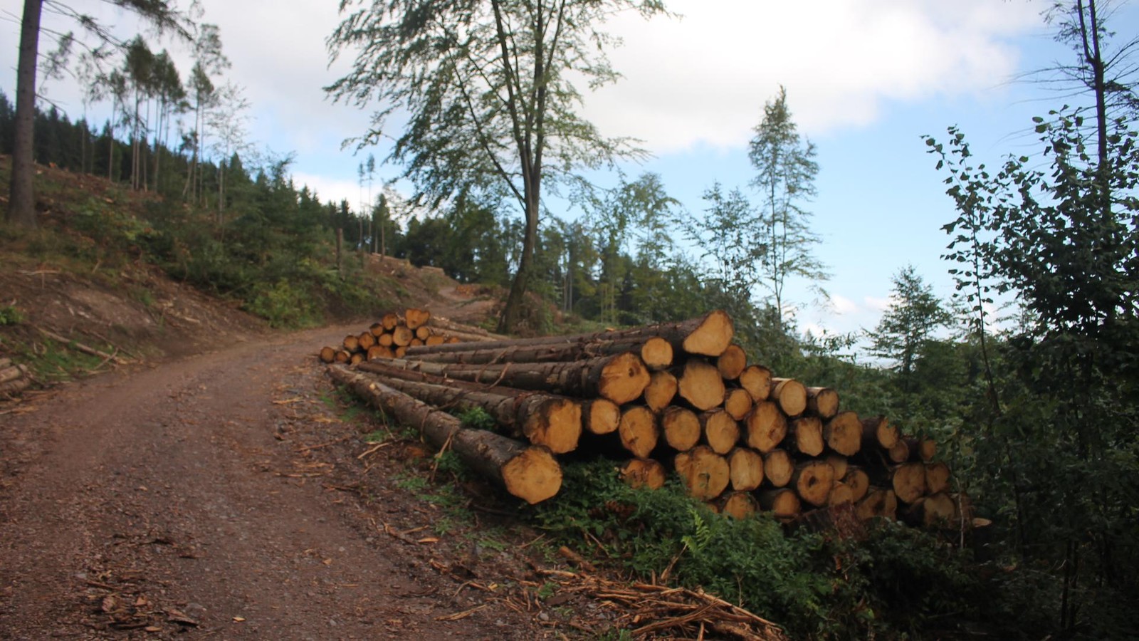 Das-sind-die-Polizei-Meldungen-zum-dritten-Advent