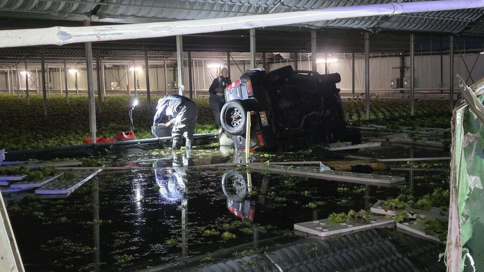 Ungew-hnlicher-Unfall-Autofahrer-landete-in-einem-gro-en-Gew-chshaus