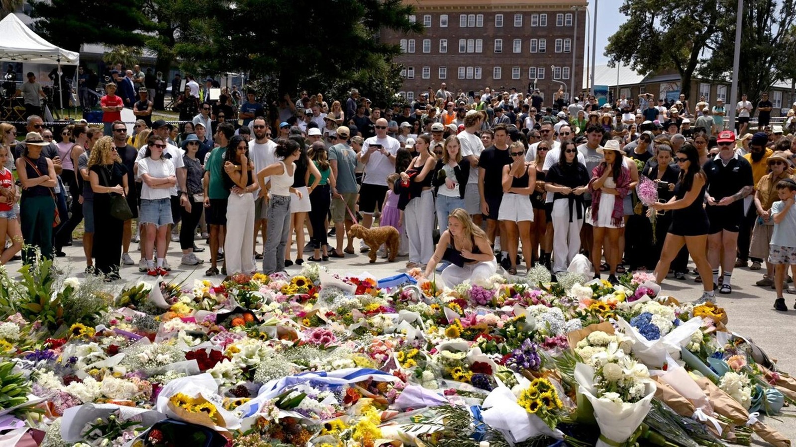 Ermittler-sicher-Bondi-Beach-M-rder-bereiteten-sich-monatelang-vor