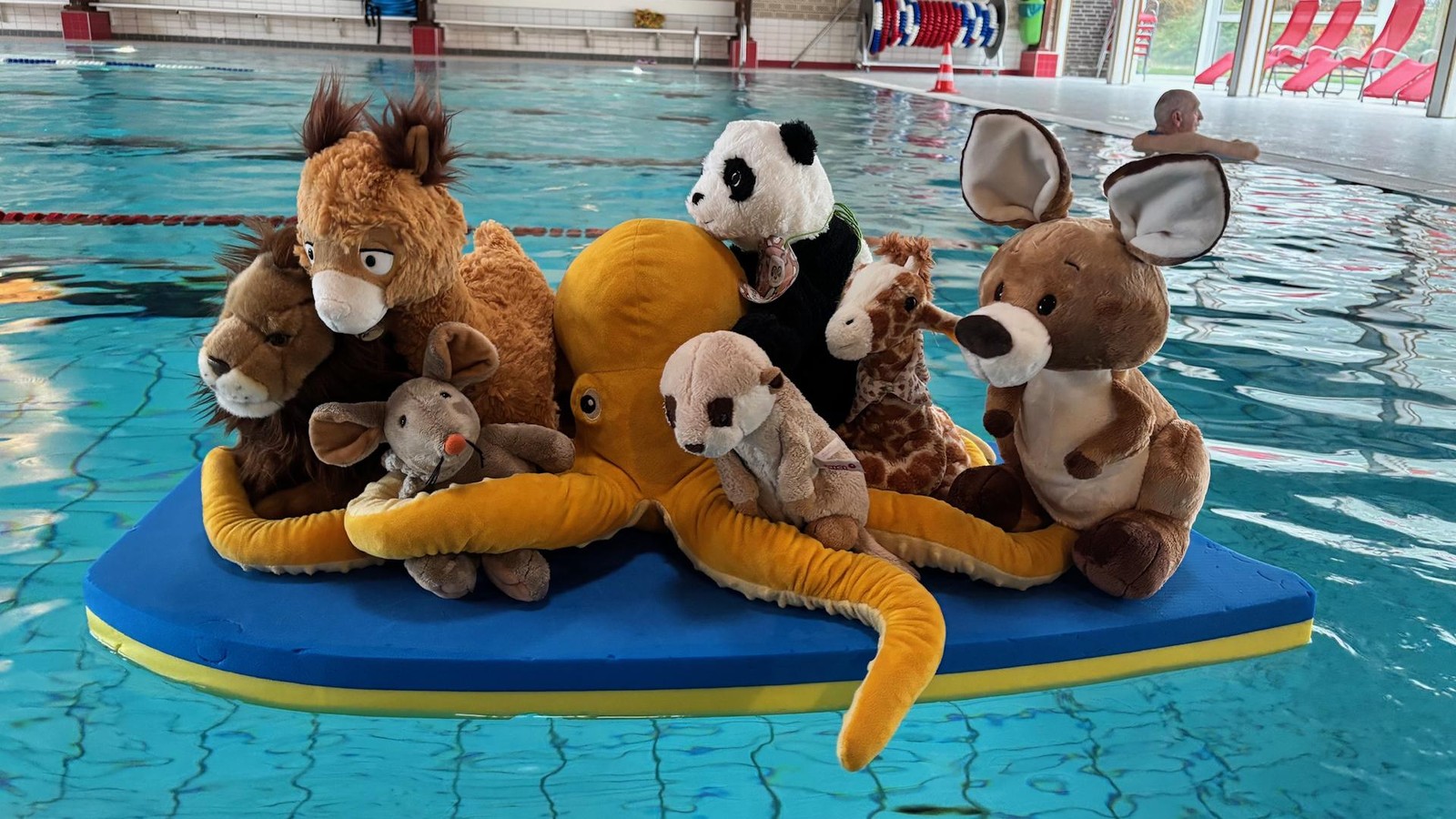 WDR-2-Weihnachtswunder-So-viel-Geld-sammelten-Sch-ler-beim-Spendenschwimmen