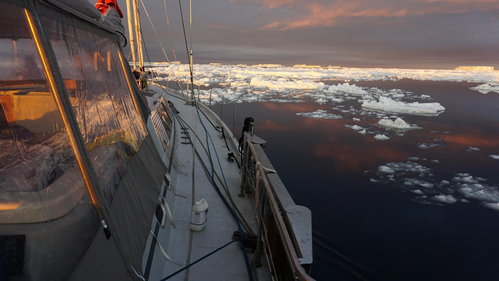 Abenteuer-im-ewigen-Eis-Th-ringer-Forscher-trotzen-Packeis-auf-ihrer-Route-zu-den-Pinguinkolonien-der-Antarktis