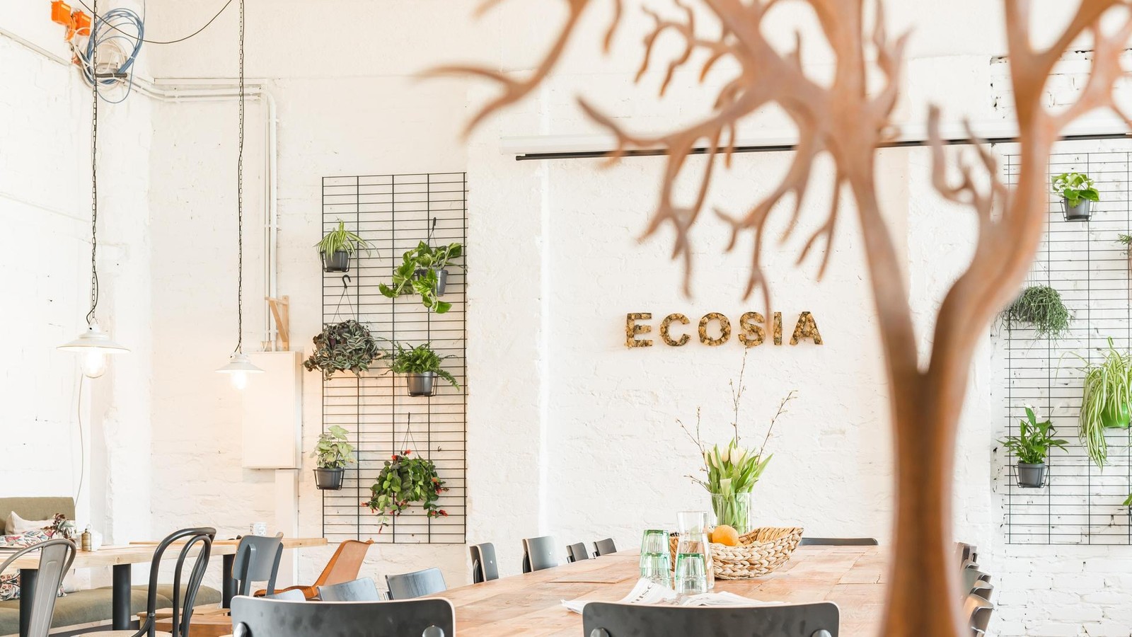 Eine-spannende-Erfolgsgeschichte-aus-einem-Hinterhof-im-Wedding