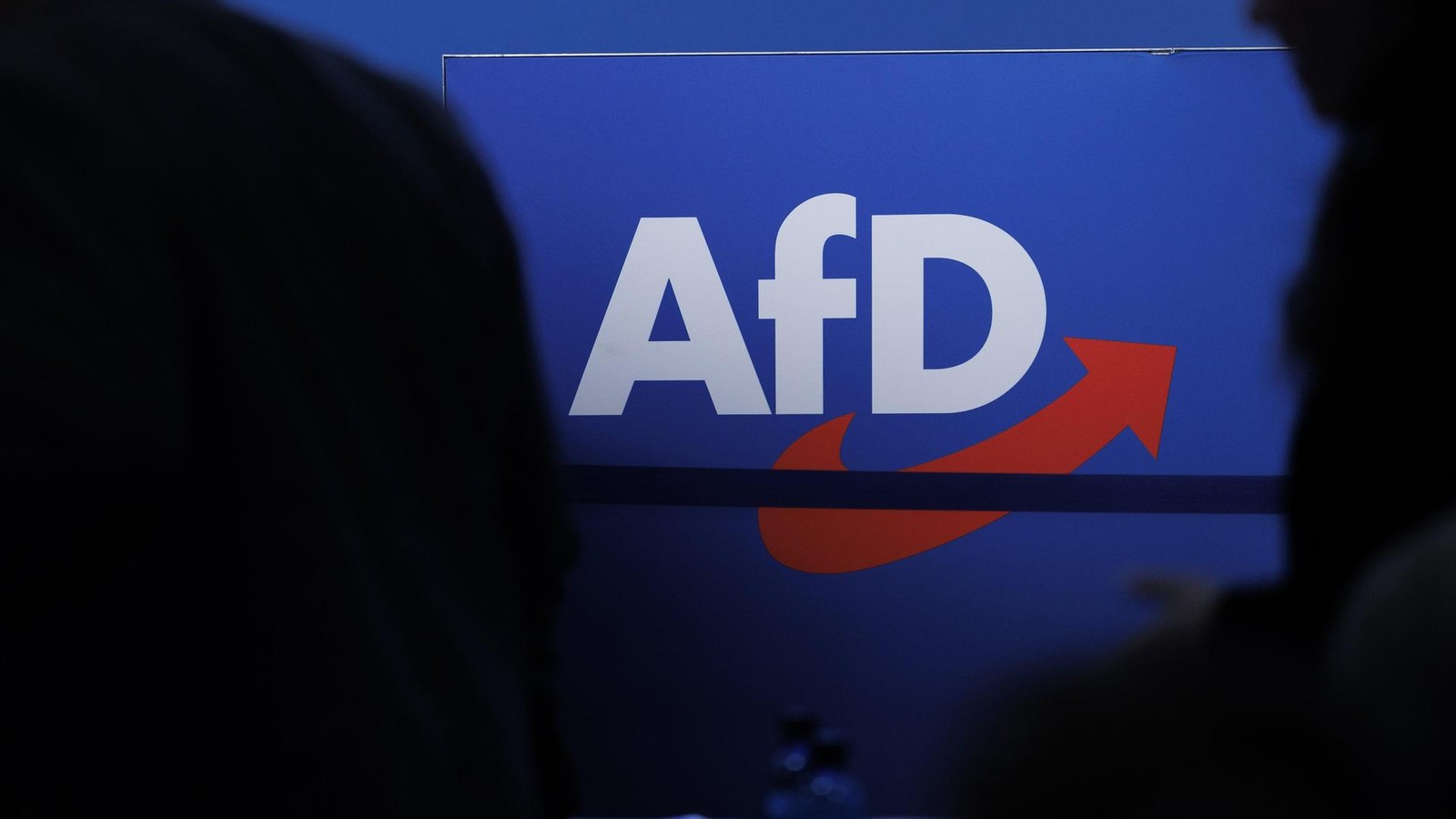 -Leckt-die-Fahne-sauber-AfD-Politiker-soll-Kinder-misshandelt-haben