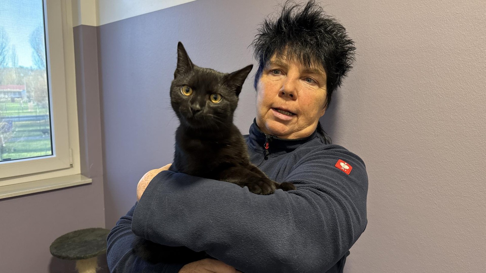 -Mancher-geht-absolut-blau-ugig-heran-Vermittlungsstopp-bis-Anfang-Januar-im-Tierheim-Gera