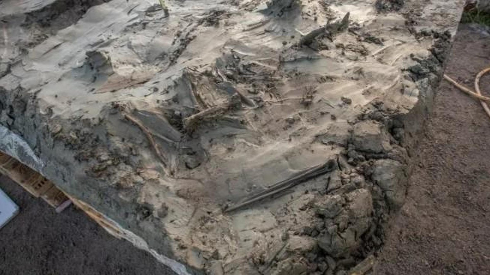 Mysteri-ses-Hundegrab-unter-Wasser-l-sst-Arch-ologen-r-tseln