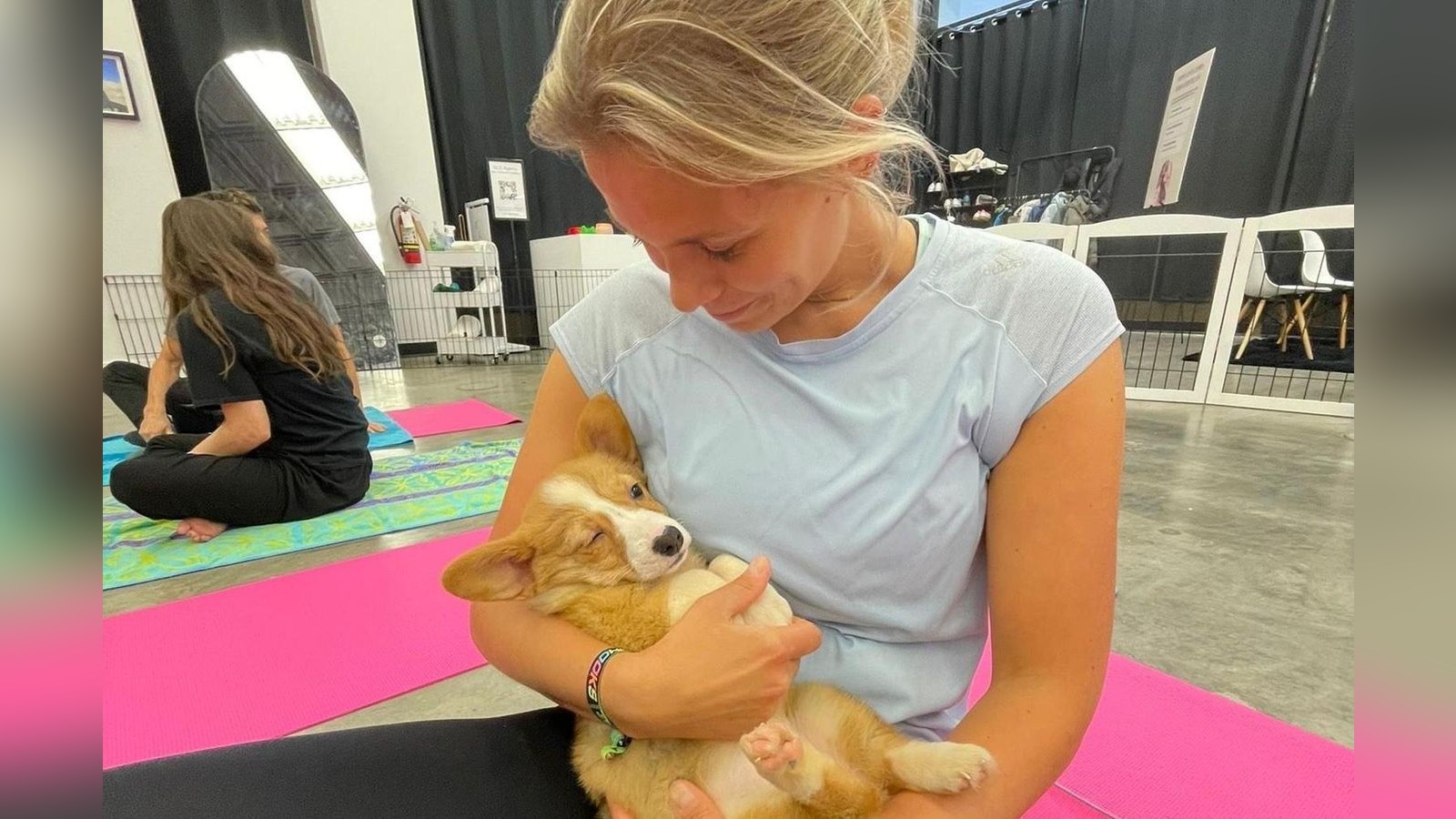 Puppy-Yoga-spaltet-das-Netz-Tierqu-lerei-oder-harmloser-Spa-