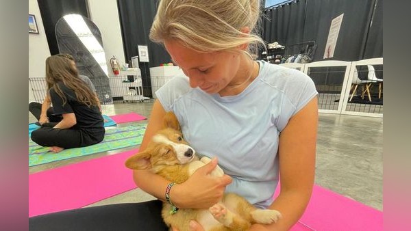 Puppy Yoga spaltet das Netz – Tierquälerei oder harmloser Spaß?