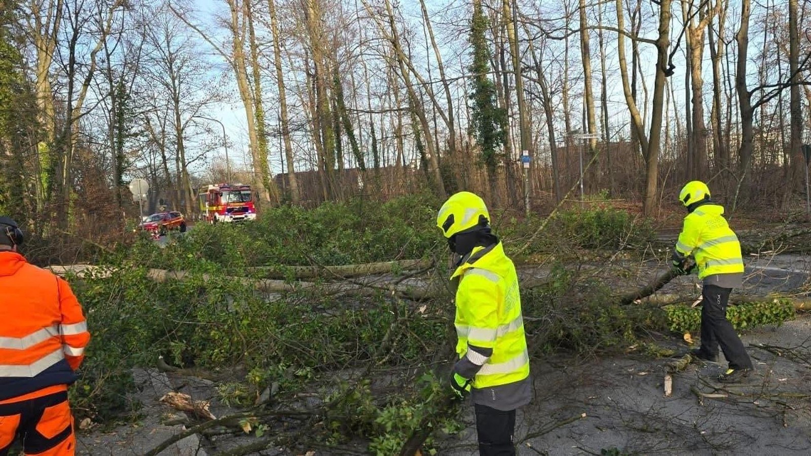 Feuerwehr-k-mmert-sich-um-Totholz-Autofahrer-auf-der-A44-rgern-sich