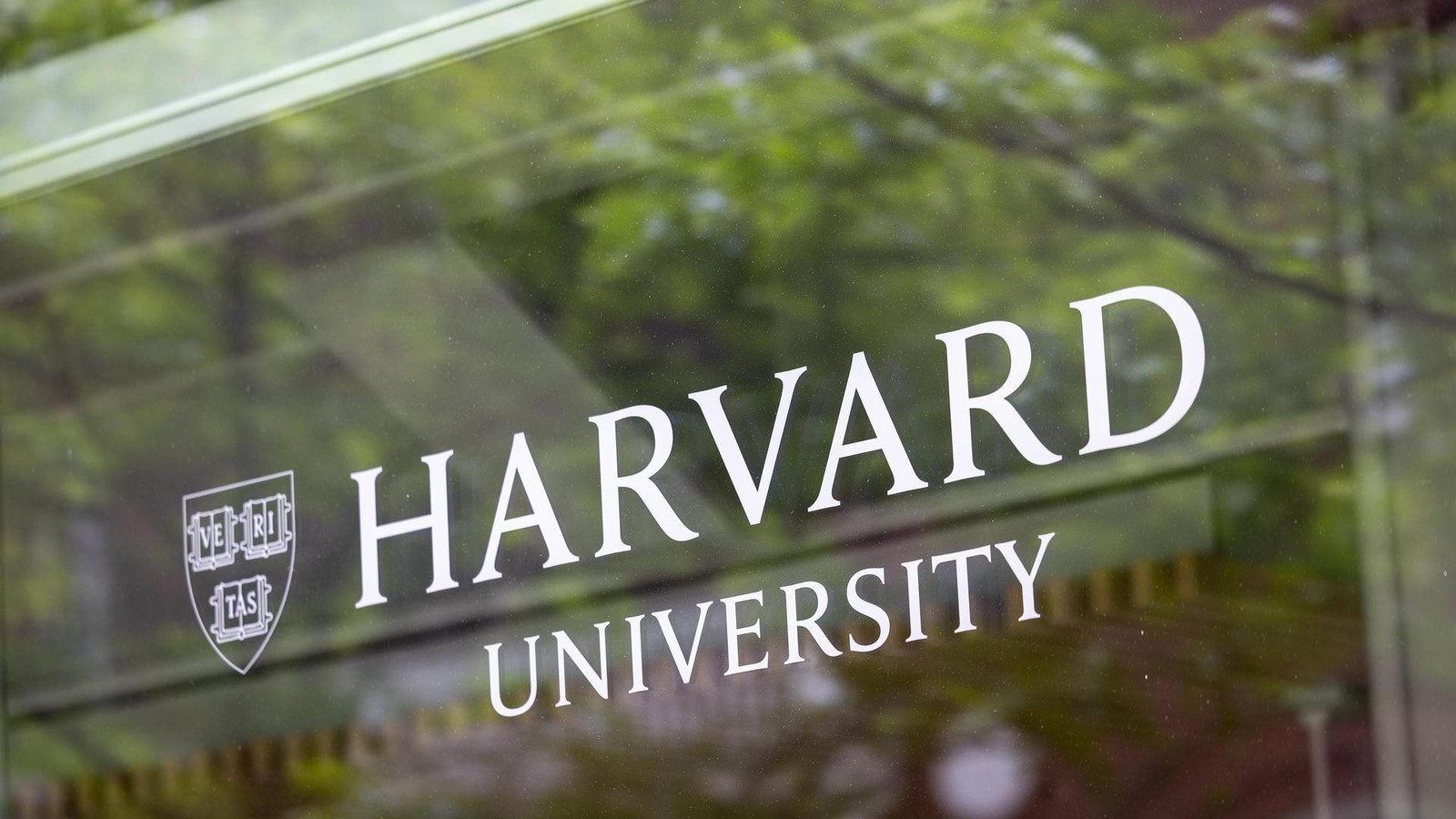 -Besonders-ungeheuerlich-Leichenhallenchef-von-Harvard-verkaufte-Leichenteile