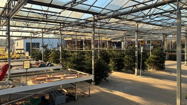 Aus für Gärtnerei: Nach 68 Jahren schließt dieser Braunschweiger Familienbetrieb