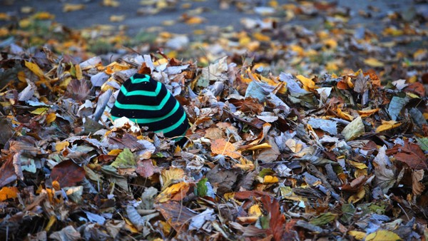 Einbrecher versteckt sich unter Laubhaufen –  dann geht er auf Polizisten los