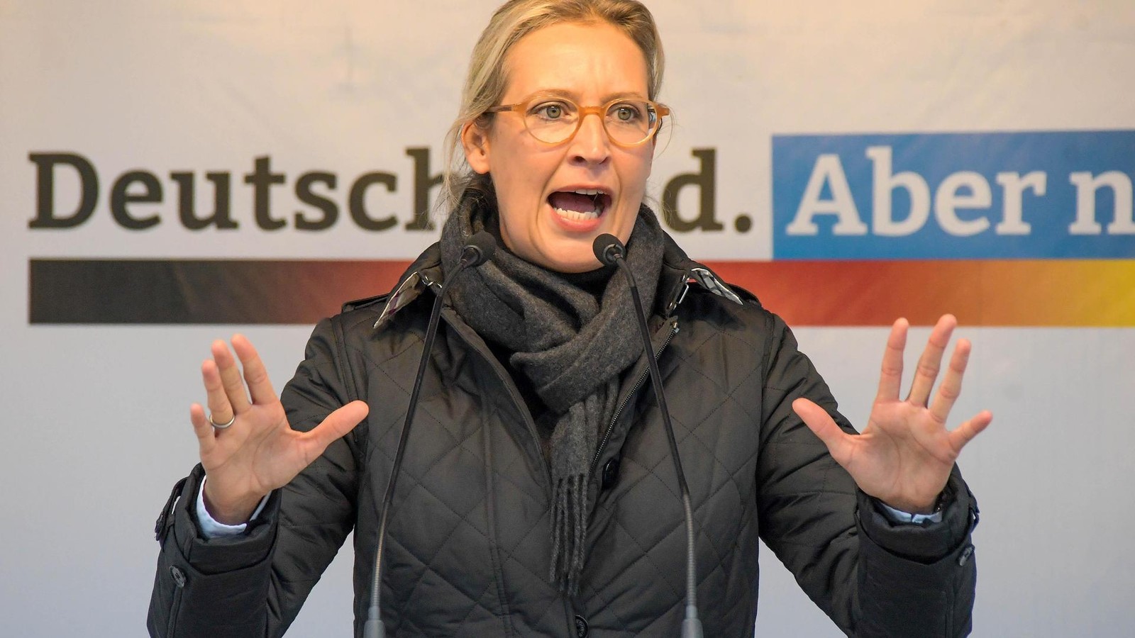 Theatermacher-in-der-Freien-Akademie-Wenn-die-AfD-gewinnt-dann-sind-wir-weg-