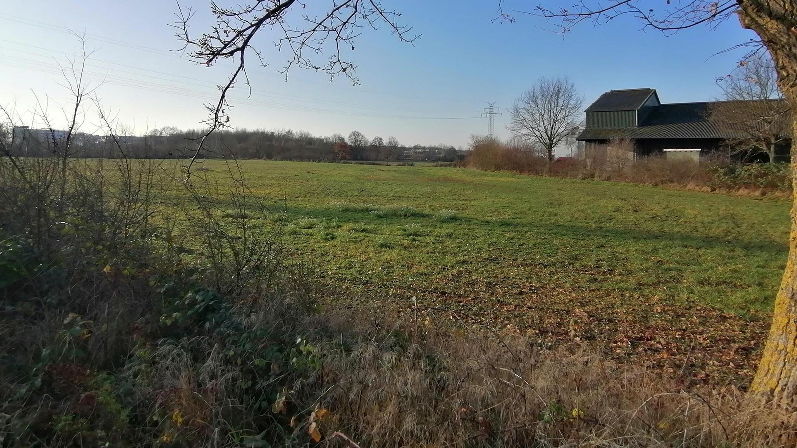 Gewerbefl-chen-in-Reinbek-Darum-stehen-Unternehmen-Schlange