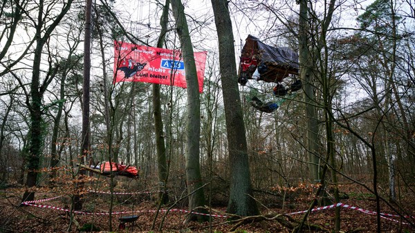 Bei Lüneburg: Aktivisten besetzen Bäume gegen Ausbau der A39