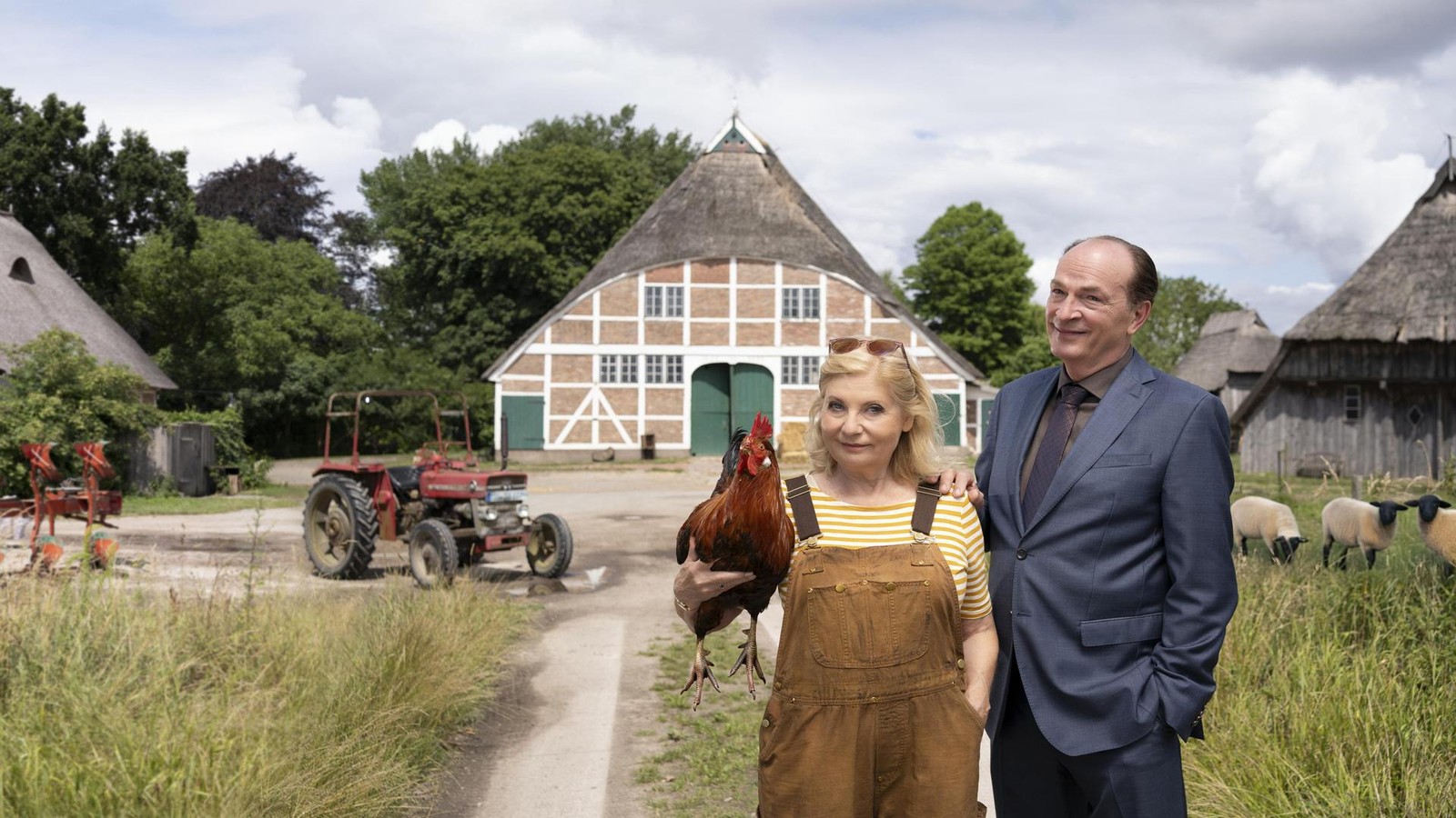 -Die-Kanzlei-weites-Land-Wenn-die-Rechtsanw-ltin-K-he-melken-muss