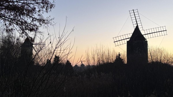 Mühlenmuseum insolvent – das sagen die Gifhorner zu dem Einschnitt